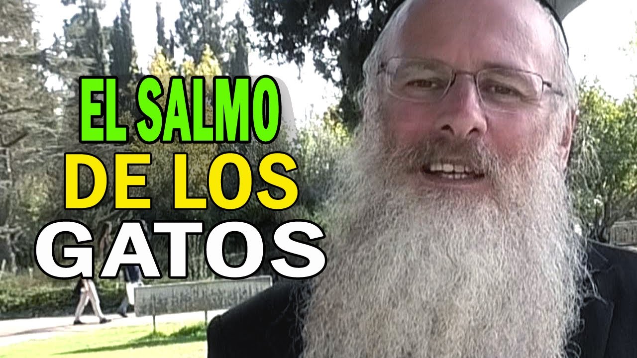 El Salmo de los Gatos