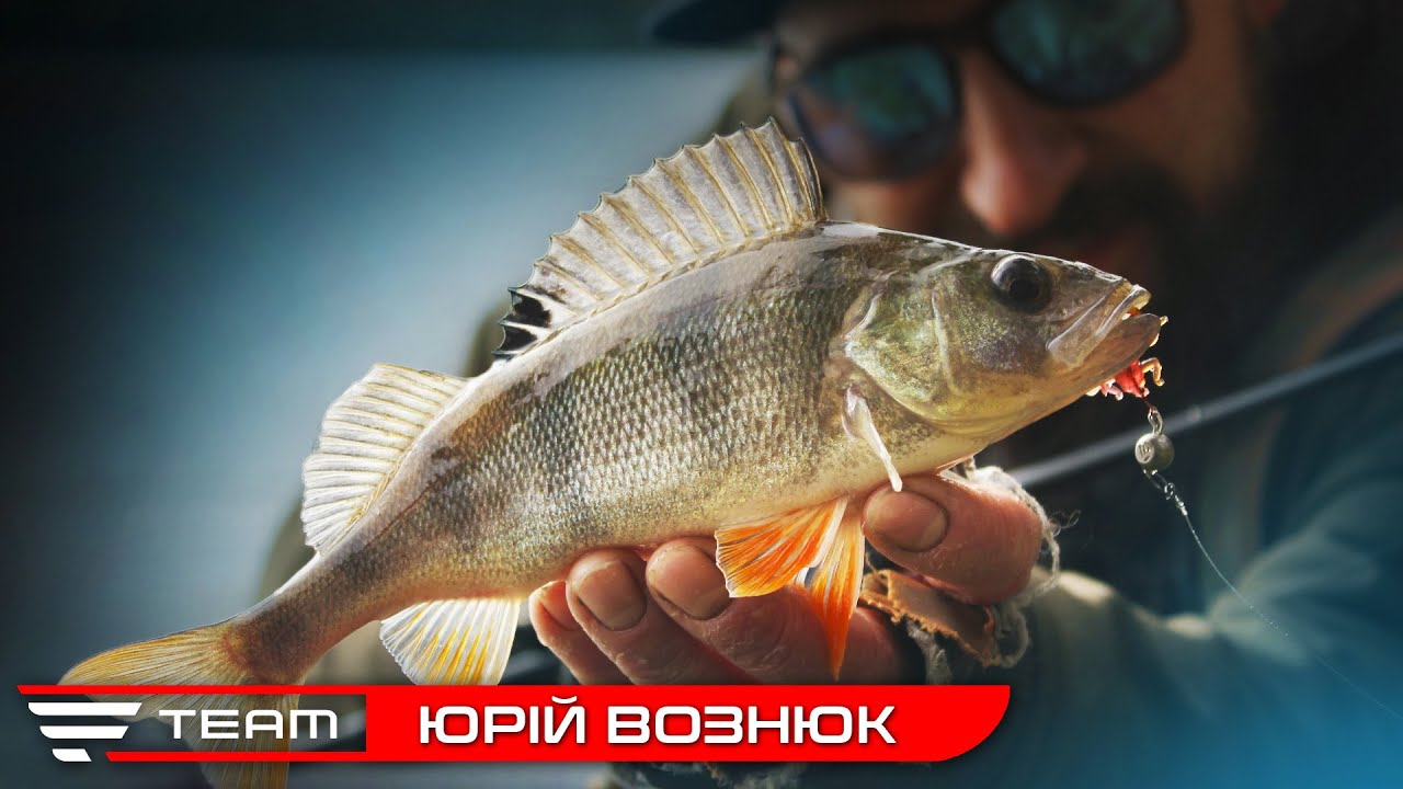 Ловля окуня з СУПЕР дальньої дистанції. АТМОСФЕРНА рибалка восени