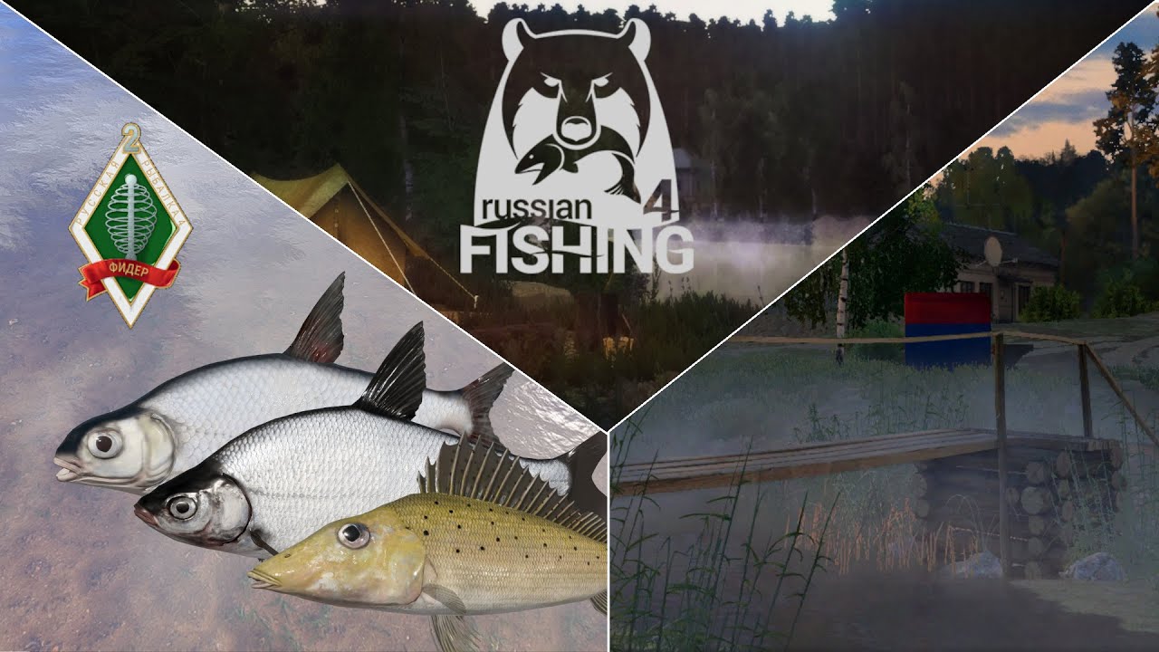 Feeder-Herausforderung bearbeiten Zobel, Zope, Don - Ehrenfischer Windenbach | Russian Fishing 4