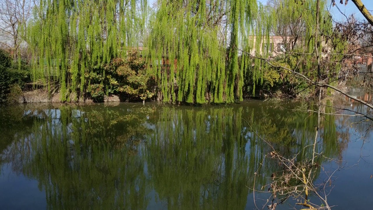 Relax da un minuto (casa sul fiume)