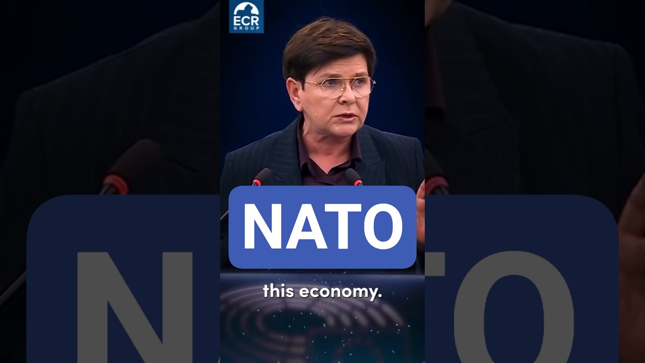 NATO ALLIES