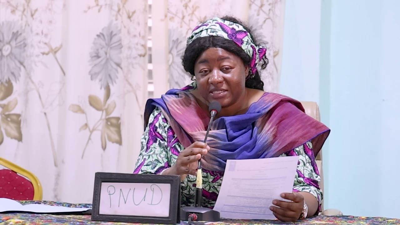 Mini-Workshop de capitalisation des leçons apprises de la mise en œuvre de la Stabilisation au Niger