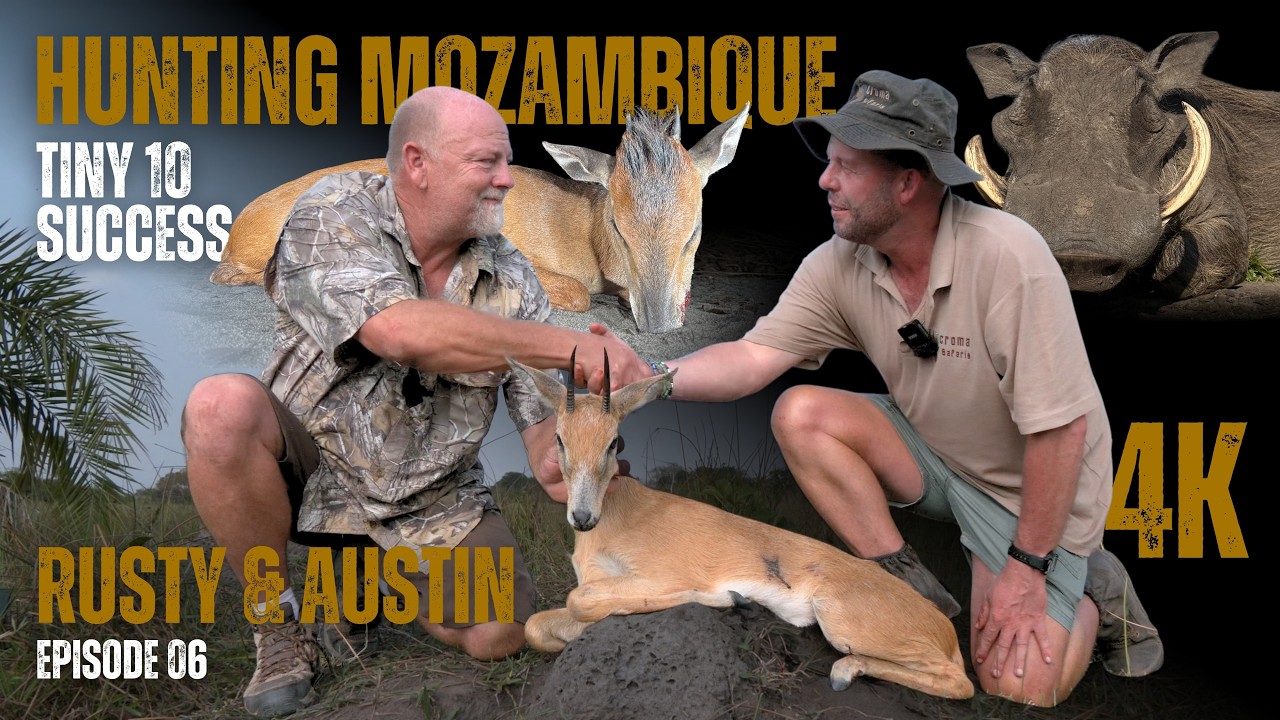 African Hunting Safari Film | Tiny 10 Success, Red Duiker, Warthog & Wild Fly Camp Nights