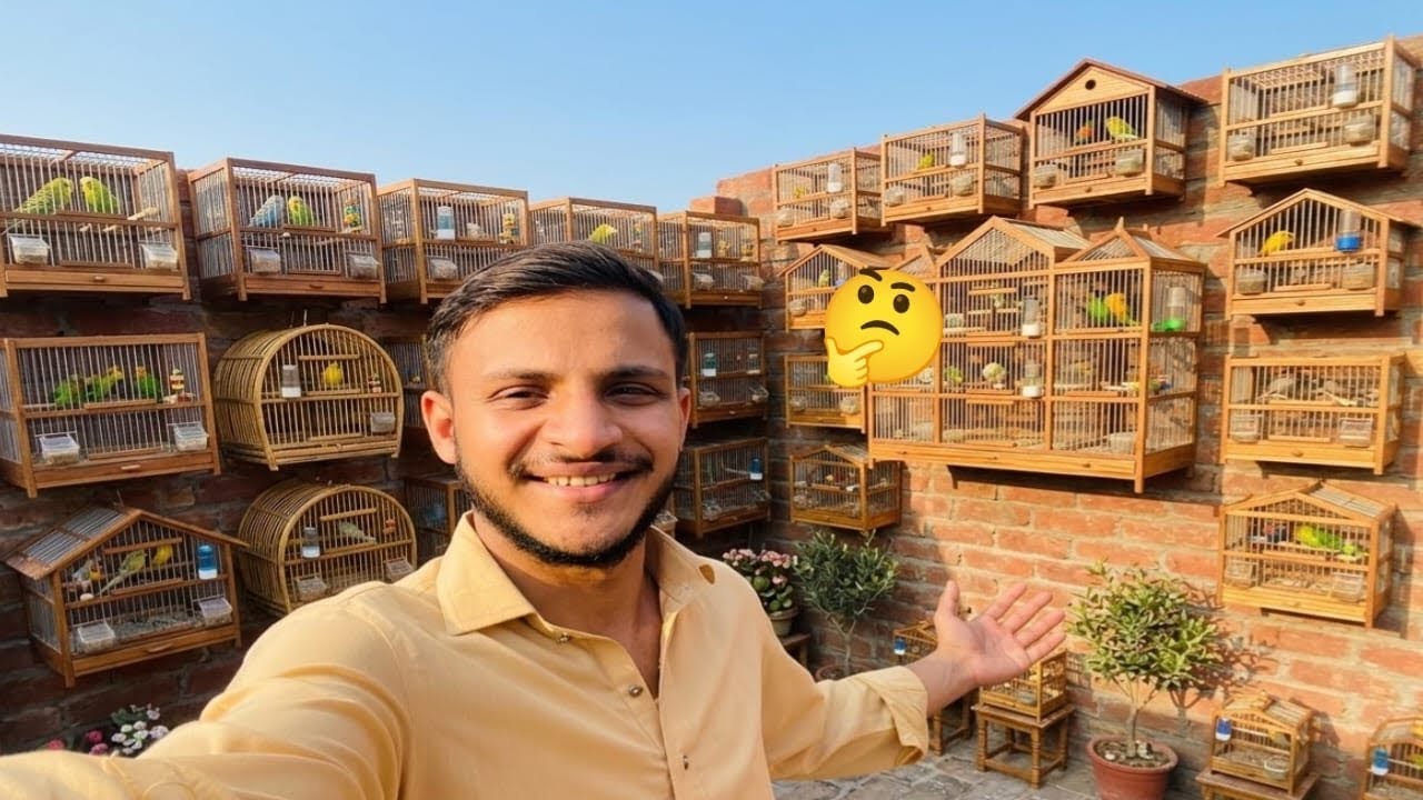 1 Sal Mein Itne Jyada Master Cage Banae Hain