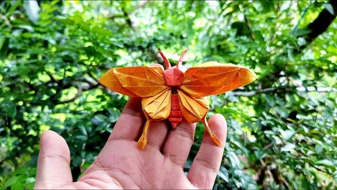 Origami Butterfly - Nguyen Hung Cuong
