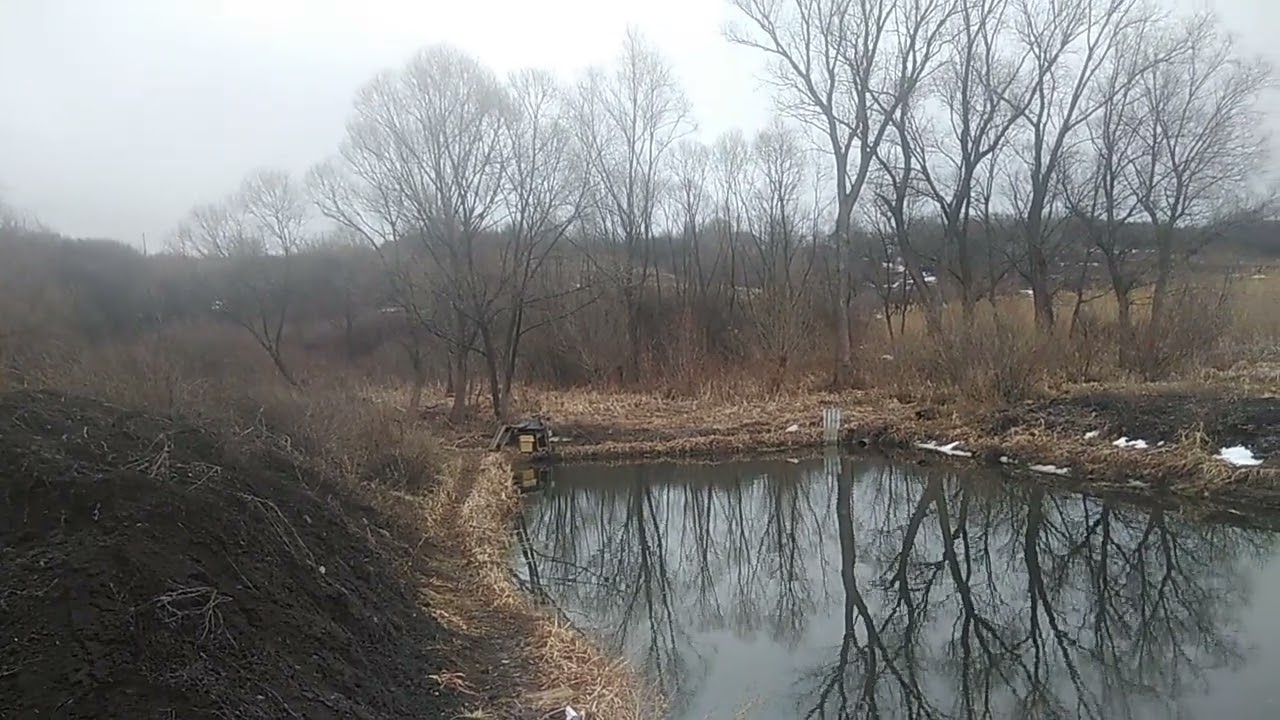 Обращение к русским. #pond