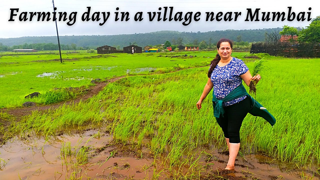 DEHENE - The story of Rice l Farmer for a day l Rural tourism l Monsoon Getaway near Mumbai