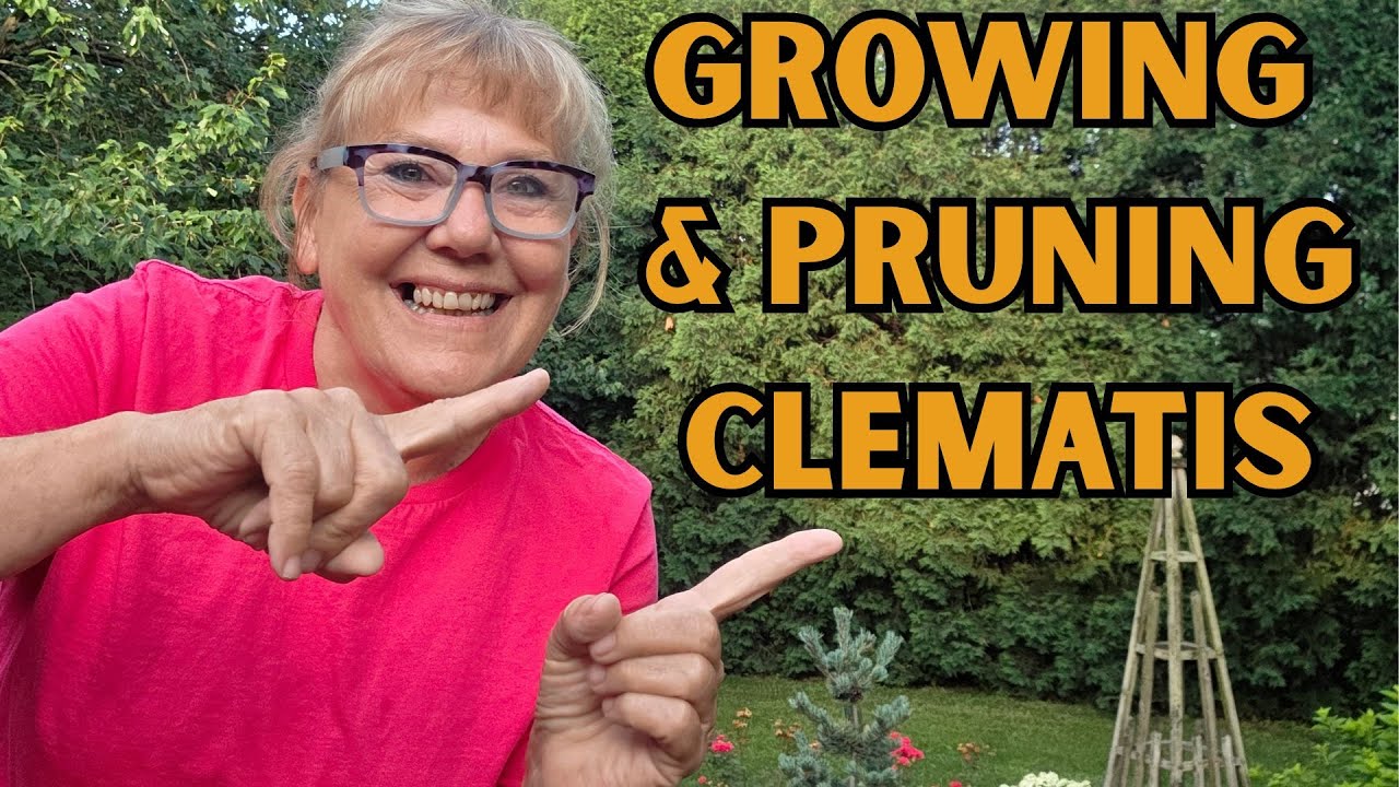 Growing & Pruning Clematis