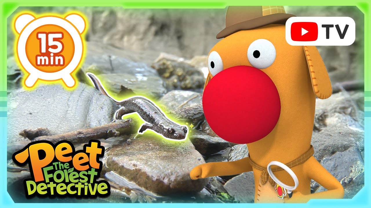 Грандиозное приключение саламандры 🦎🌲 | Истории о природе для детей | Пит — лесной детектив