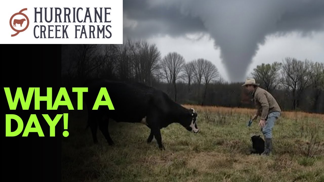 Runaway calves, Tornadoes, Rogue Bulls… This day was a cluster!