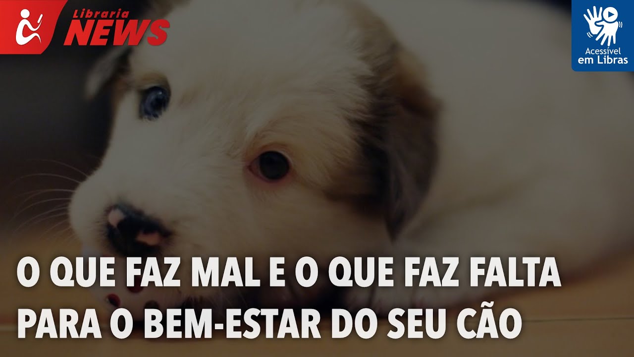 O que faz mal e o que faz falta para o bem-estar do seu cão (Libras)