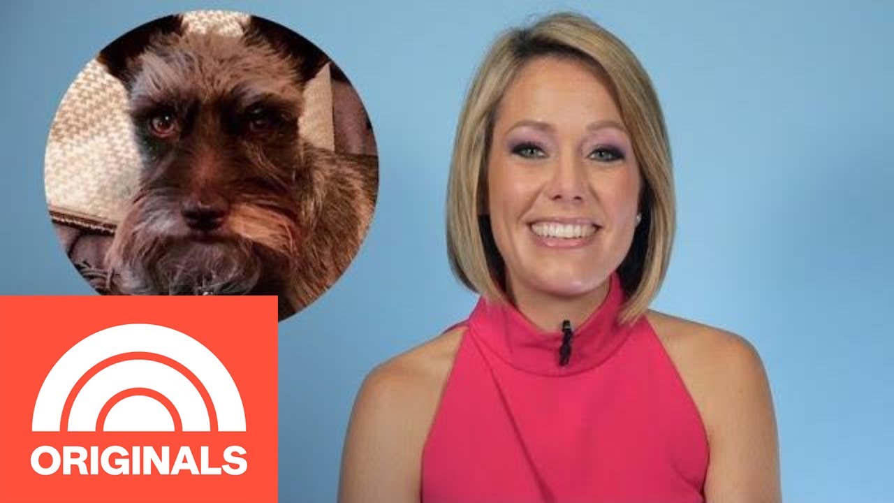 Why Dylan Dreyer Named Her Dog After A ‘Seinfeld’ Reference | My Pet Tale | TODAY