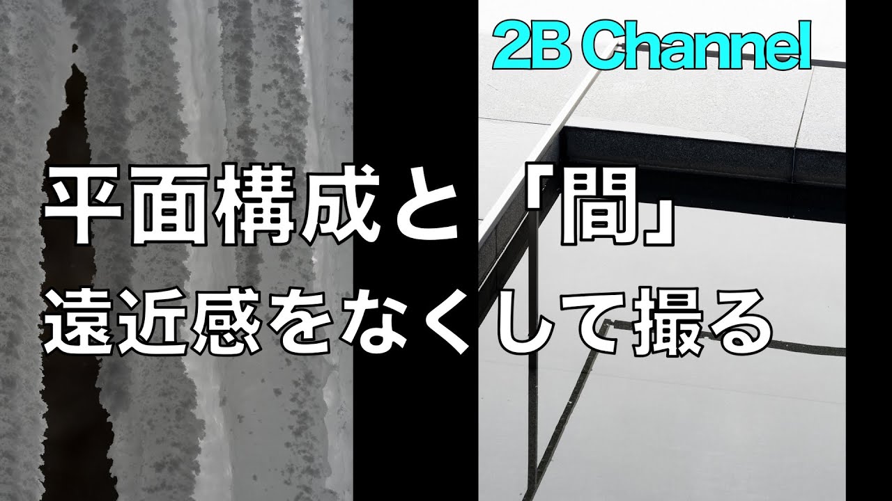 立体感が消える瞬間を撮る＃平面構成＃大野葉子