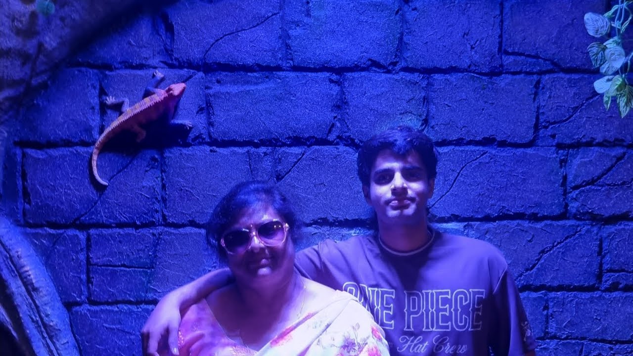 Aquarium tour with family 