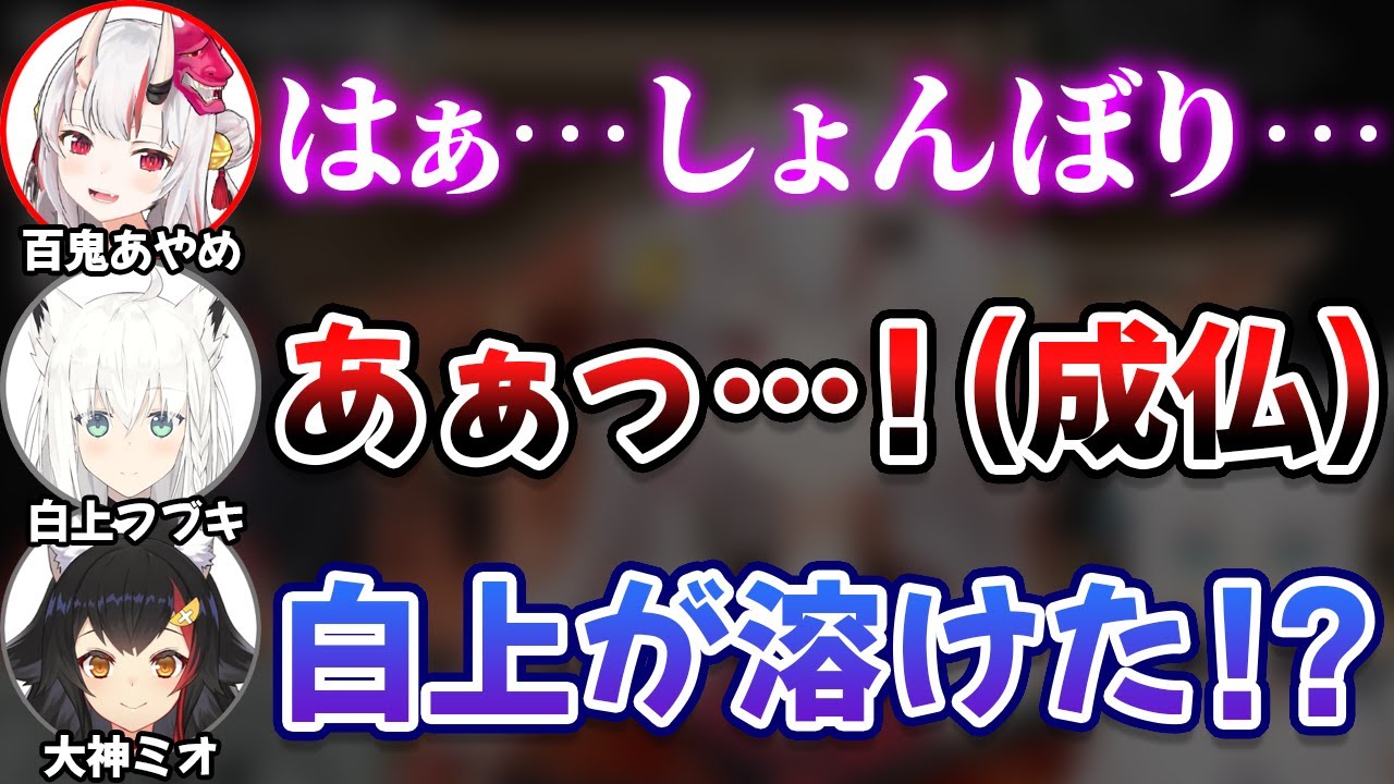 しょんぼりお嬢がかわ余すぎて溶ける白上フブキ【百鬼あやめ/大神ミオ/常闇トワ/ホロライブ/切り抜き】2020.6.09