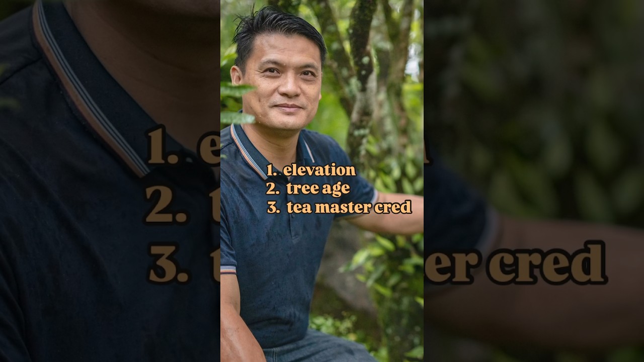 IMPOSSIBLE OOLONG SOURCING #oolong #chinatea #china #dancong #chinatravel #tea #riversandlakestea