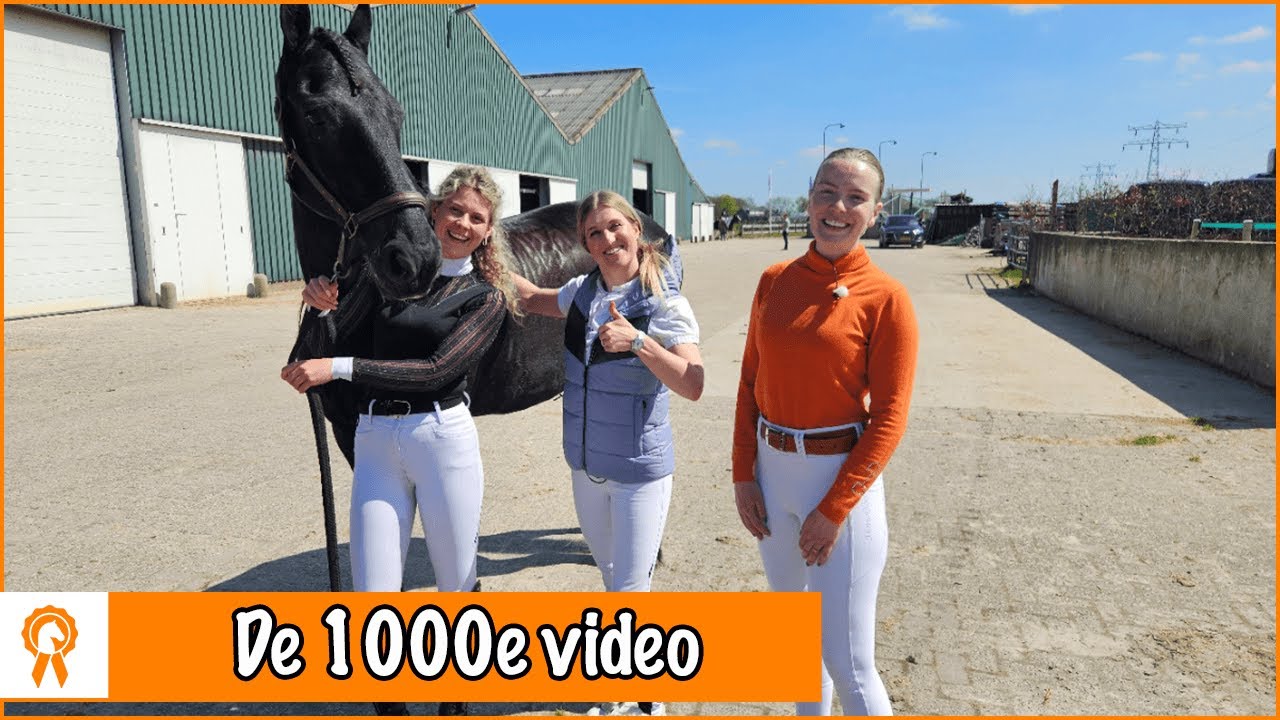 Britt, Esra en Benthe gaan samen op wedstrijd! | PaardenpraatTV