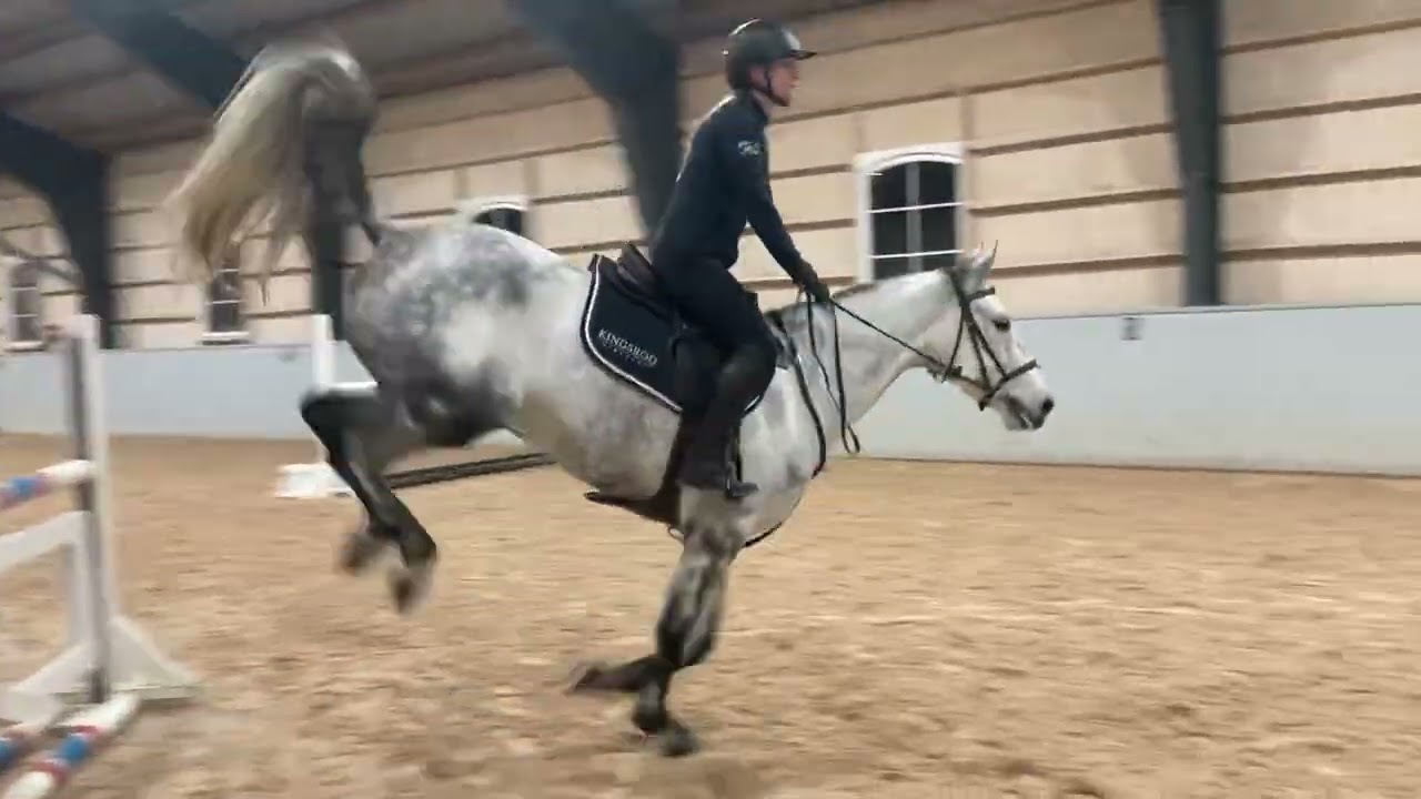 Kaleia Star. 19/11-2025. Hoppträning Svante Johansson