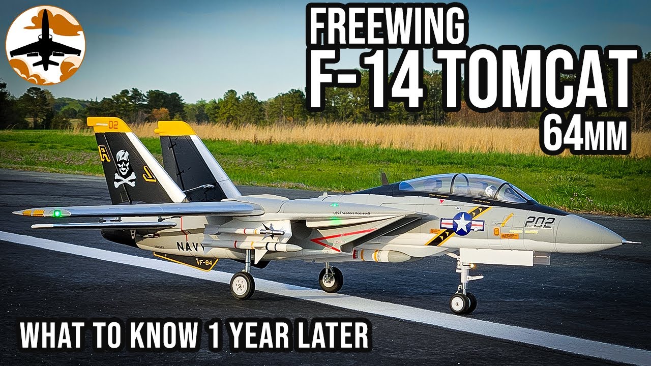 It's Not Bad, but You... Might Be - Freewing F-14 64mm 1 Year Review