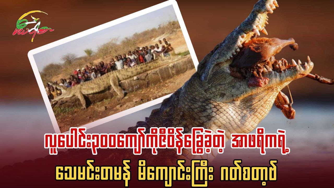 လူပေါင်း၃၀၀ကျော်ကိုဇီဝိန်ခြွေခဲ့တဲ့ သေမင်းတမန်မိကျောင်းကြီး ဂတ်စတာ့ဗ်