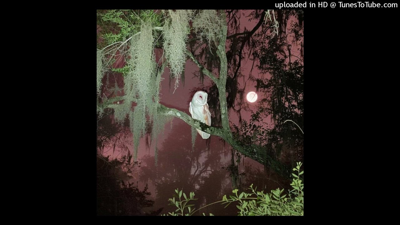 whirr + deftones + quannnic + sledges type beat - void