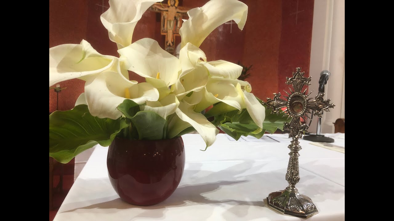 Feast of St Anthony, Mass from Franciscans Athlone