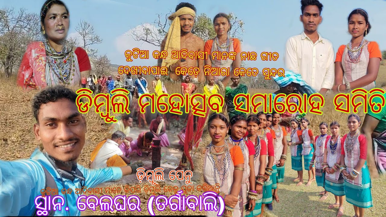 କୁଟିଆ କନ୍ଧ ଆଦିବାସୀ ମାନଙ୍କ ନାଛ ଗୀତ ଦେଖୀବାପାଇ କେଡ଼େ ନିଆରା କେତେ ସୁନ୍ଦର ଲାଗେ#kandhamal ##trending 