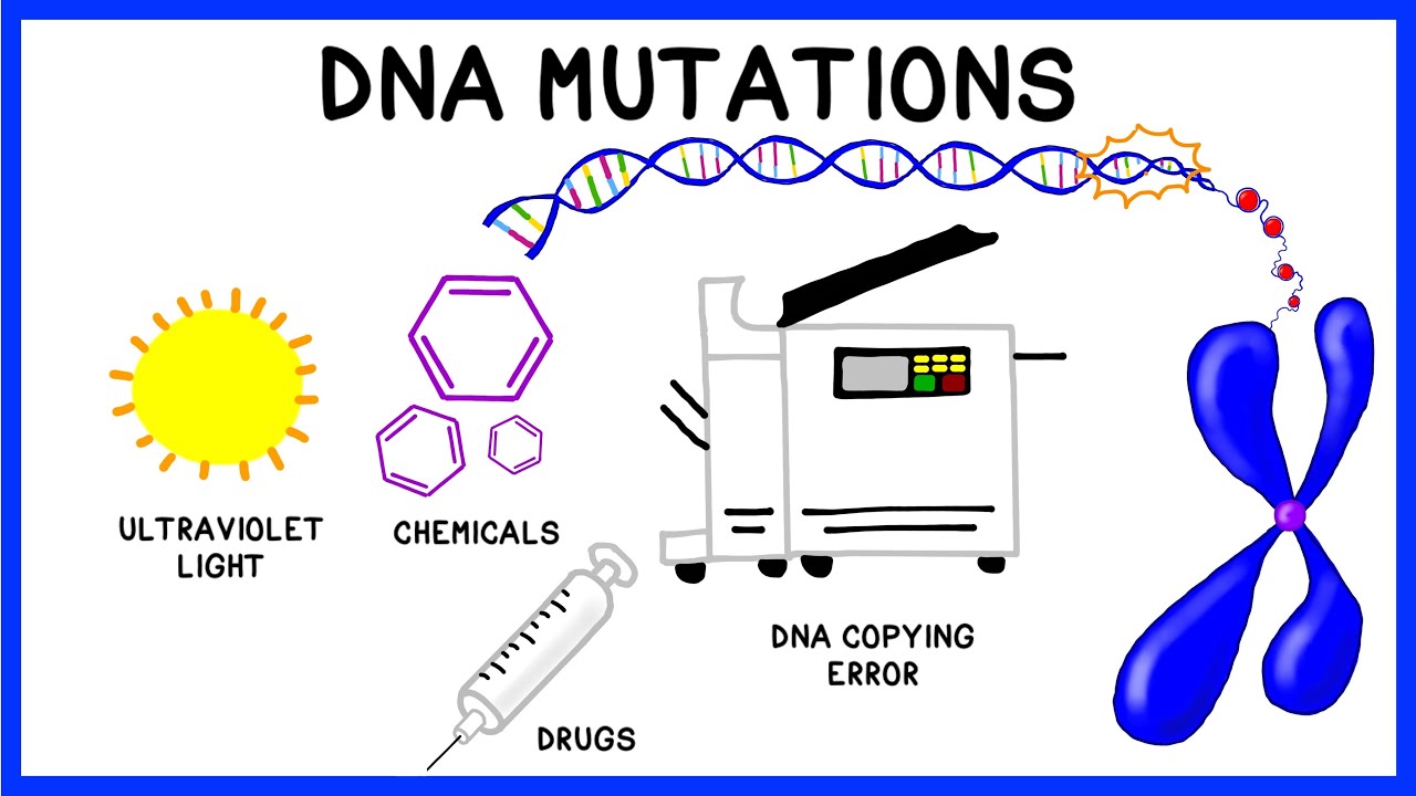 DNA Mutations