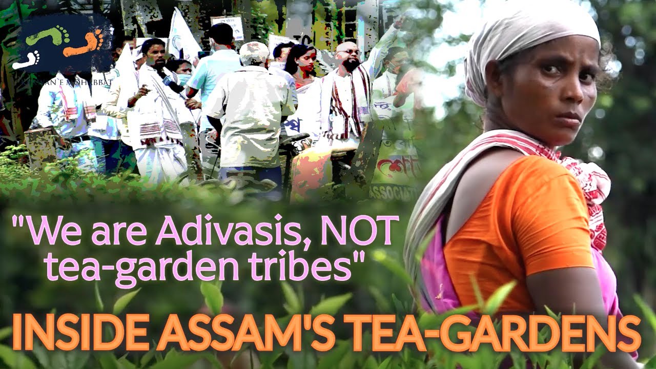 We Are Adivasis, Not Tea-Garden Tribes - Inside #Assam's Tea-Gardens | Karwan e Mohabbat