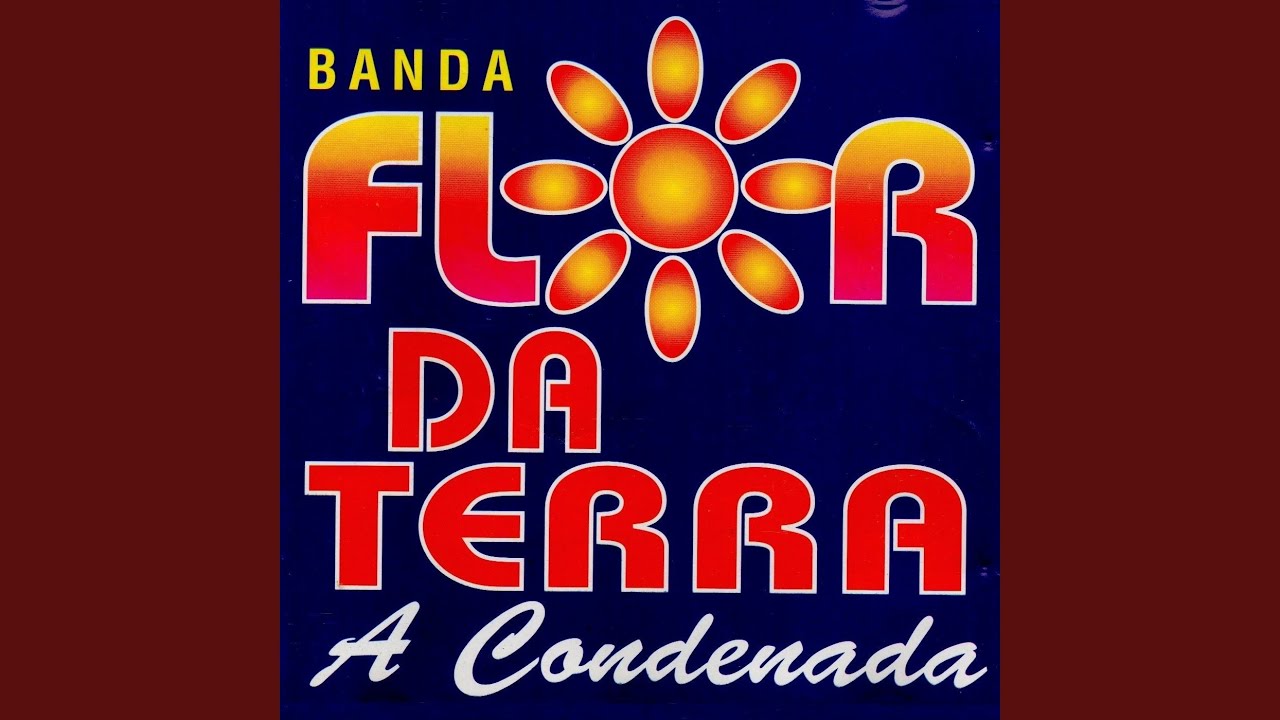Meu Primeiro Amor