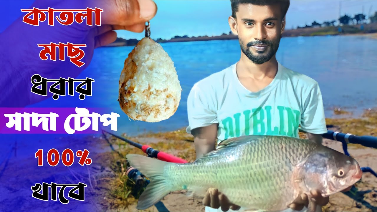 কাতলা মাছ ধরার সাদা টোপ 100% খাবে || katla macher top || Catla fish bait || কাতলা মাছের টোপ