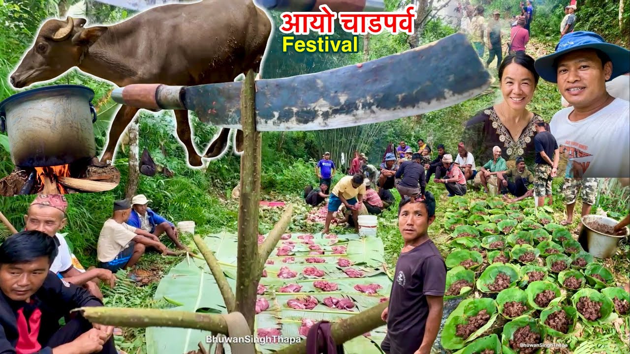 120 KG Buffalo In Village And Simple Cutting Cooking Eating Bhutuwa In Jungle / Bhuwan Singh Thapa