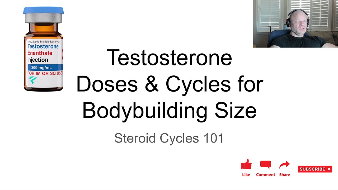 Testosterone Cycle Basics - Anabolic Bodybuilding