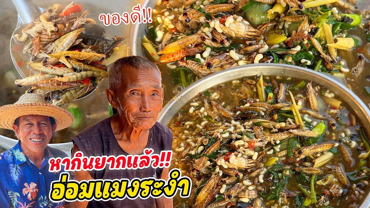 ของดีหากินยาก!! อ่อมเหนี่ยว(แมงระงำ) แนวกินแซบๆ ตามทุ่งนา อ่อมไส่ไข่มดแดงผักเยอะๆ แซ่บขนาด!!