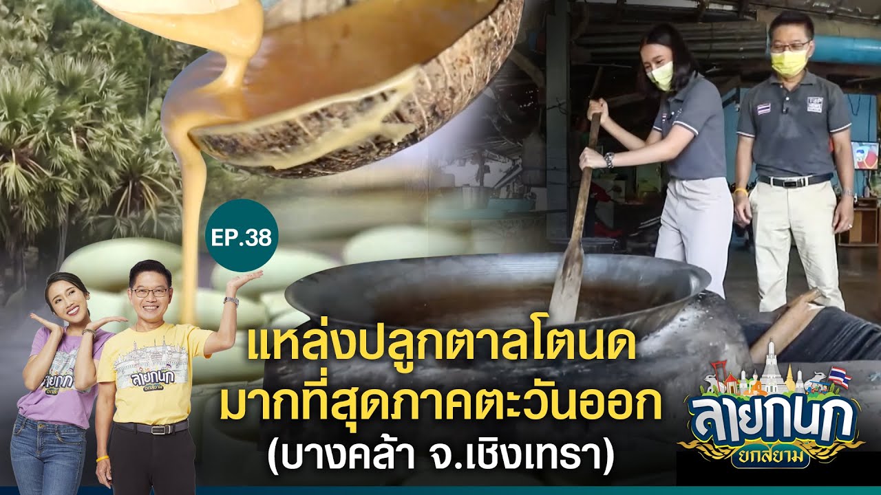 หมู่บ้านน้ำตาลสด แหล่งผลิตน้ำตาลสดที่ใหญ่ที่สุดของ ฉะเชิงเทรา | ลายกนก ยกสยาม | EP.38