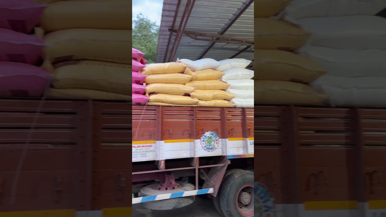 RP Annapoorna 26% Protein Cattle Feed 9655735370 #cowfeed #cattlefeed #cattlefeeds #goatfeed #cow