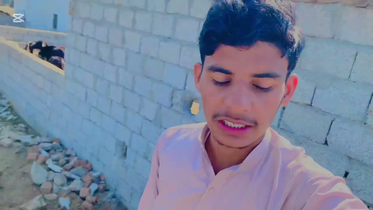 Veril video 