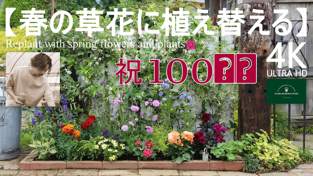 祝！100回目！小さな花壇を植え替える！【春のガーデニング】-フローラ黒田園芸- Spring gardening/ガーデニング/園芸/庭/花壇