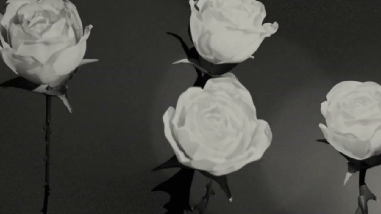 Maria Taylor feat. Conor Oberst - Sorry I Was Yours (Official Lyric Video)