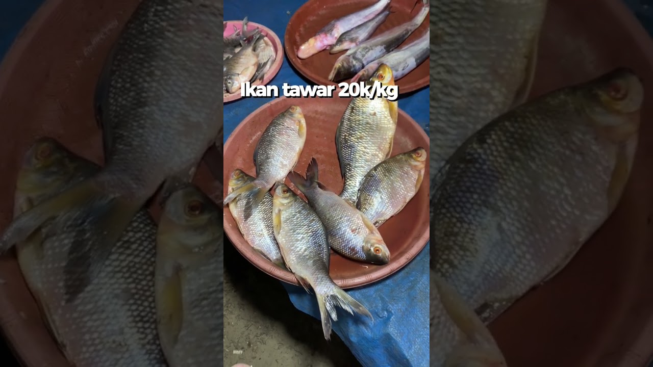 Belanja mingguan kepasar kaget