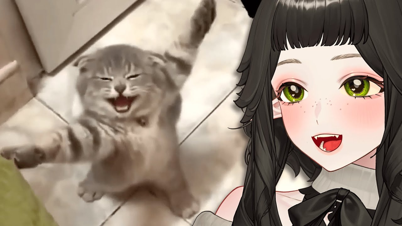 Layna Reacts to the Most HILARIOUS Animals on the Internet