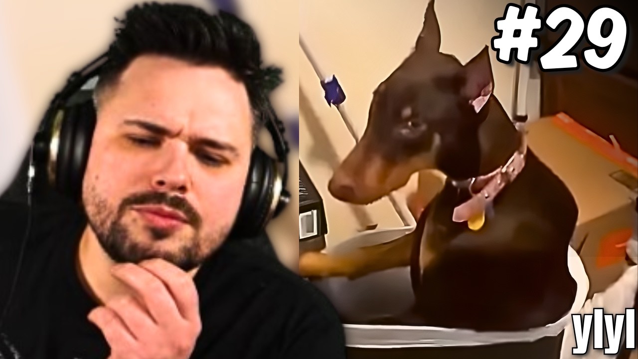 YLYL #29 - Tivolt ogląda śmieszne filmy