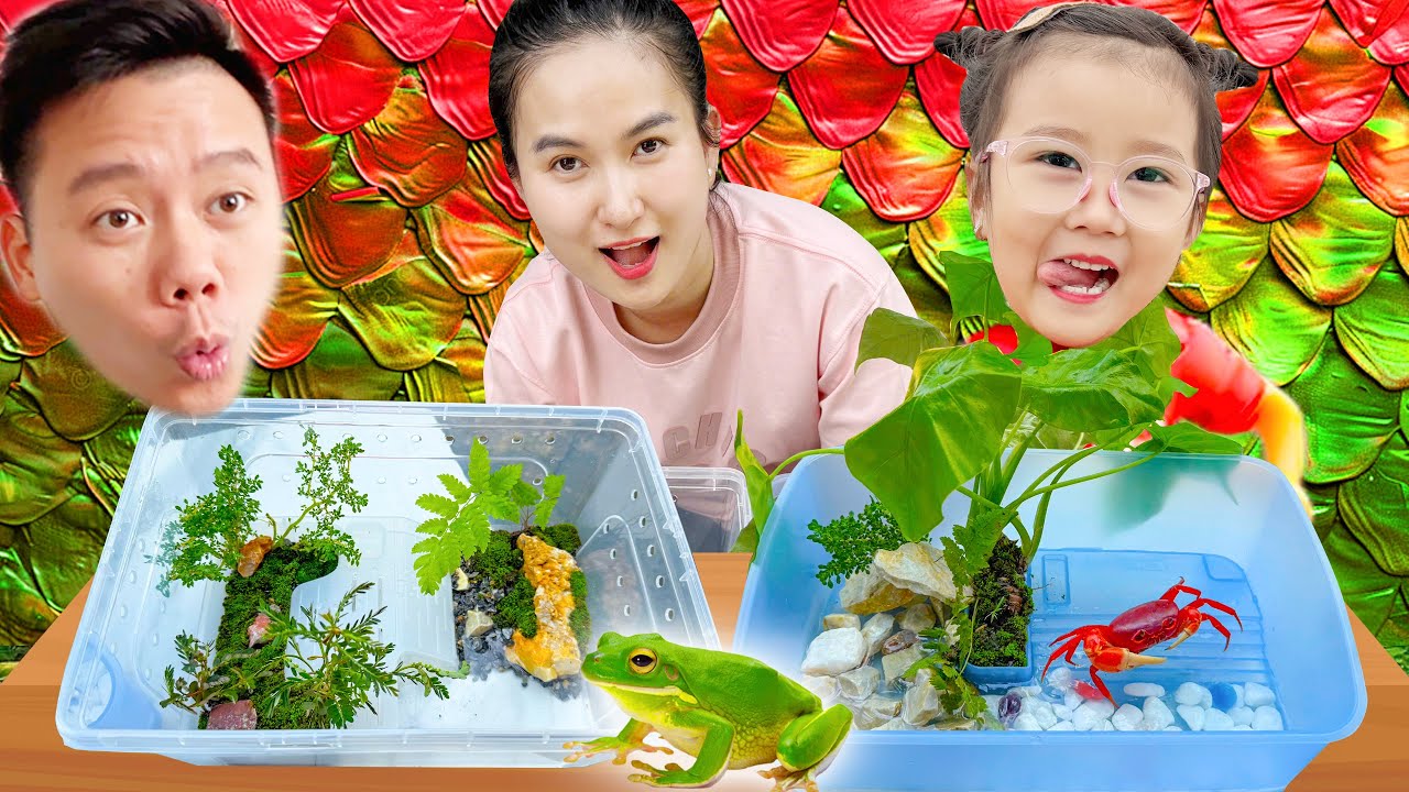 Changcady trổ tài trang trí nhà cho thú cưng, bể nuôi cua và ếch