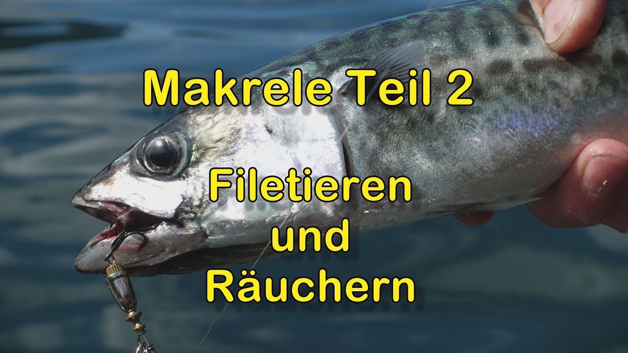Makrele Teil 2: Filetieren und Räuchern