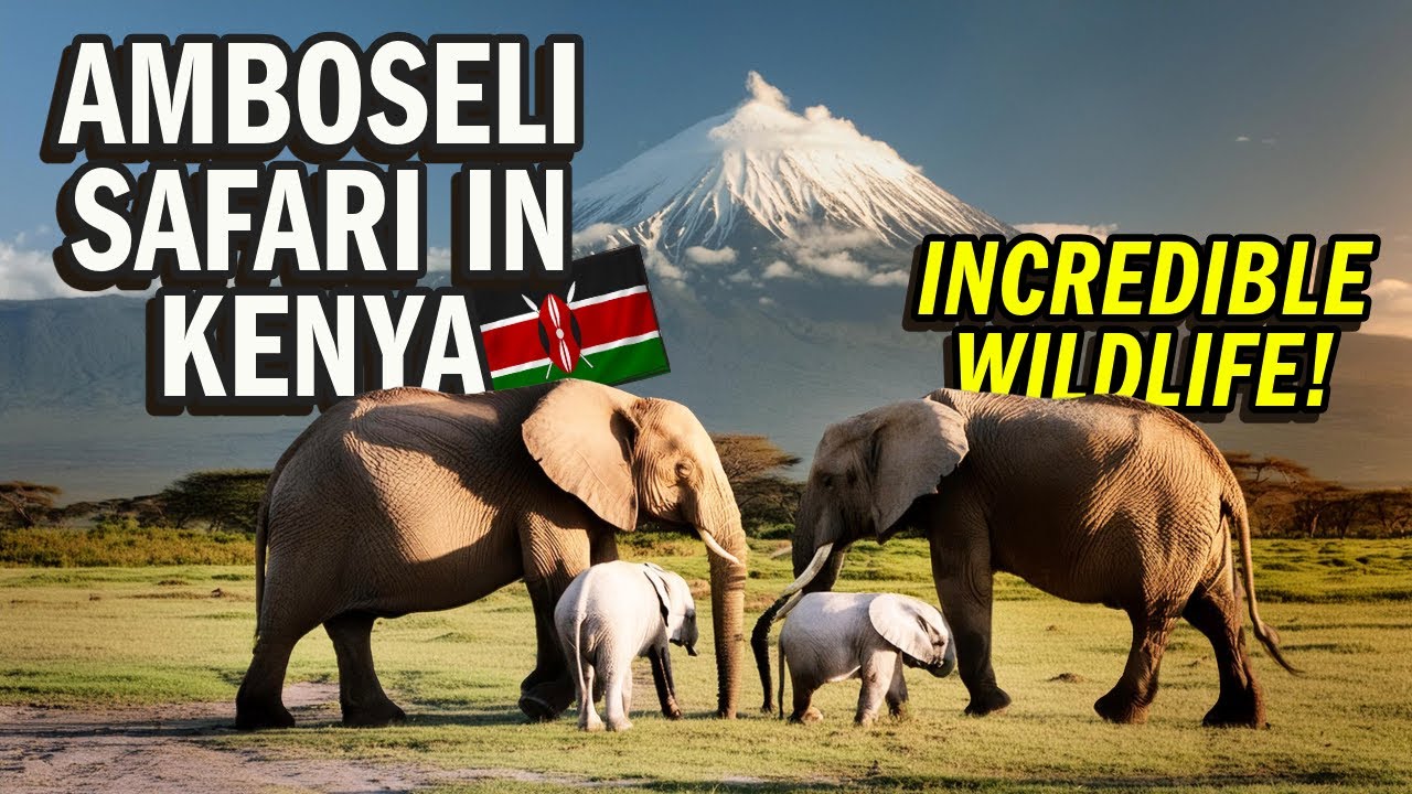 Our WILD SAFARI in Amboseli National Park in KENYA in Feb 2024! Better than Masai Mara? [4K | 11.ai]