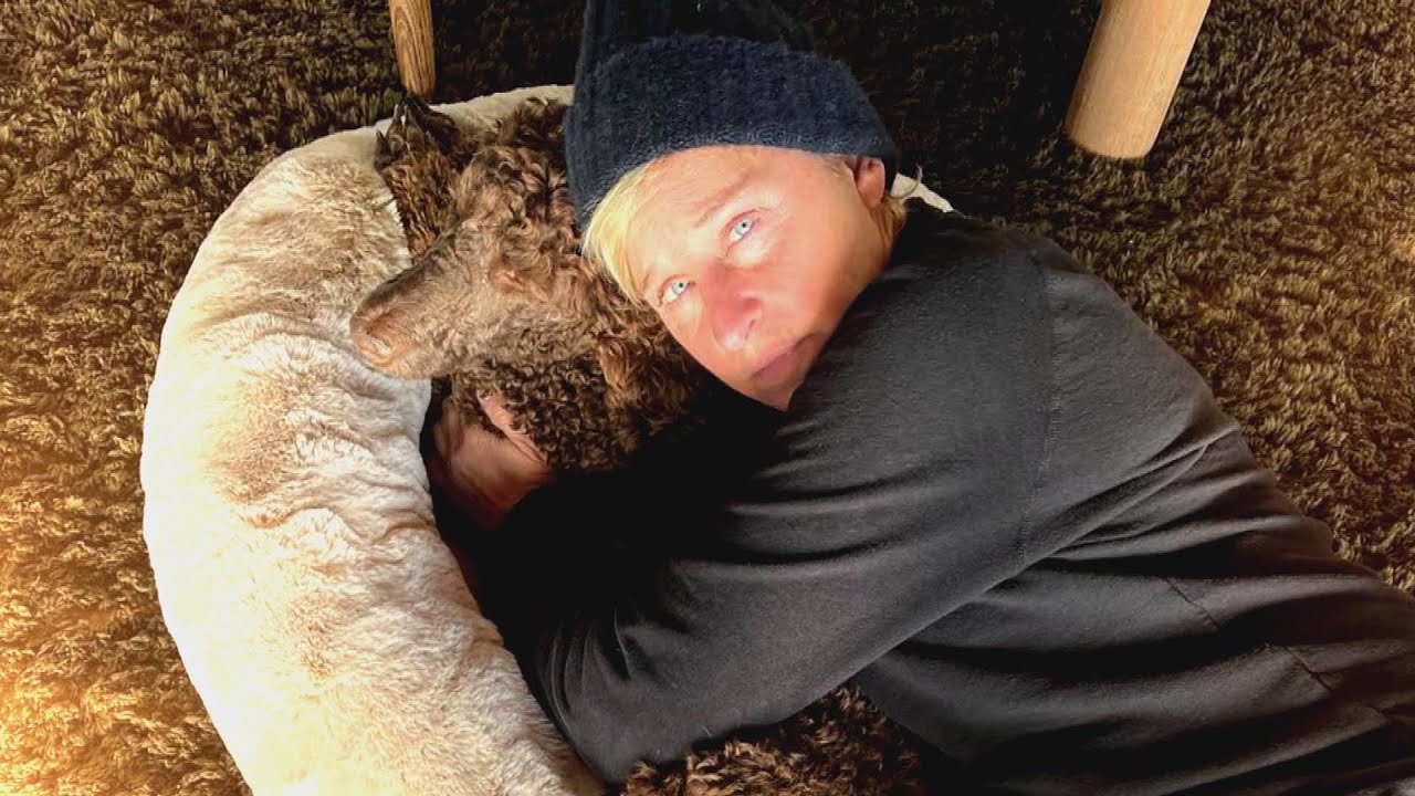 Ellen DeGeneres Says She Had Back Pain Battling COVID-19