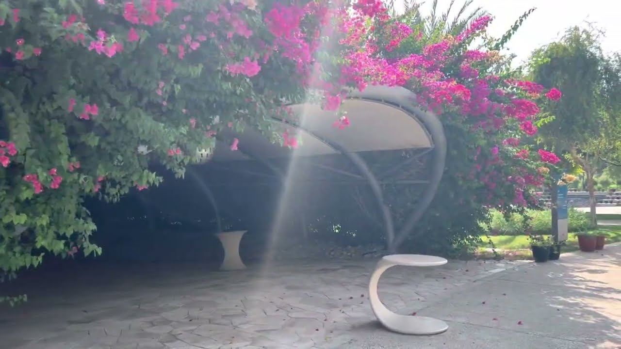 حديقة القرآن النباتية في قطر .. جمال يفوق الوصف 🌳