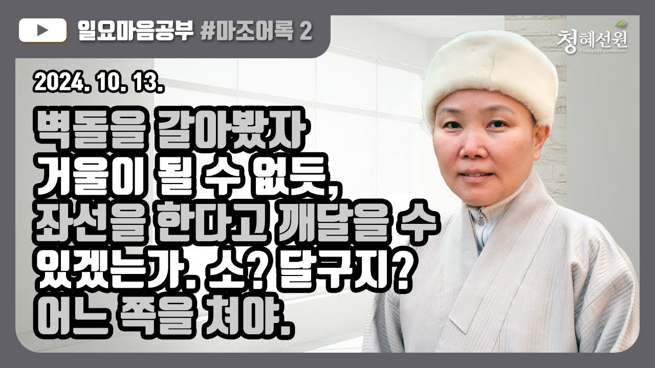 2024.10.13. [청혜선원] 일요공부ㅣ마조어록 제2회 “벽돌을 갈아봤자 거울이 될 수 없듯, 좌선을 한다고 깨달을 수 있겠는가. 소? 달구지? 어느 쪽을 쳐야.