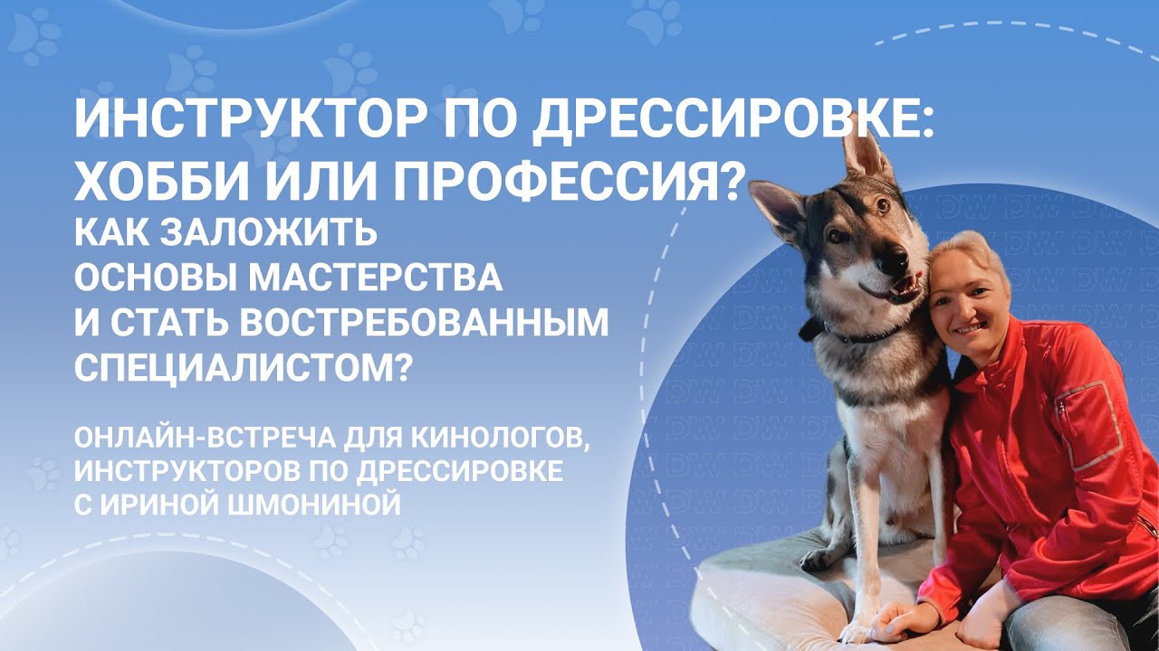 Инструктор по дрессировке собак, кинолог: хобби или профессия? Встреча с Ириной Шмониной (часть 1)