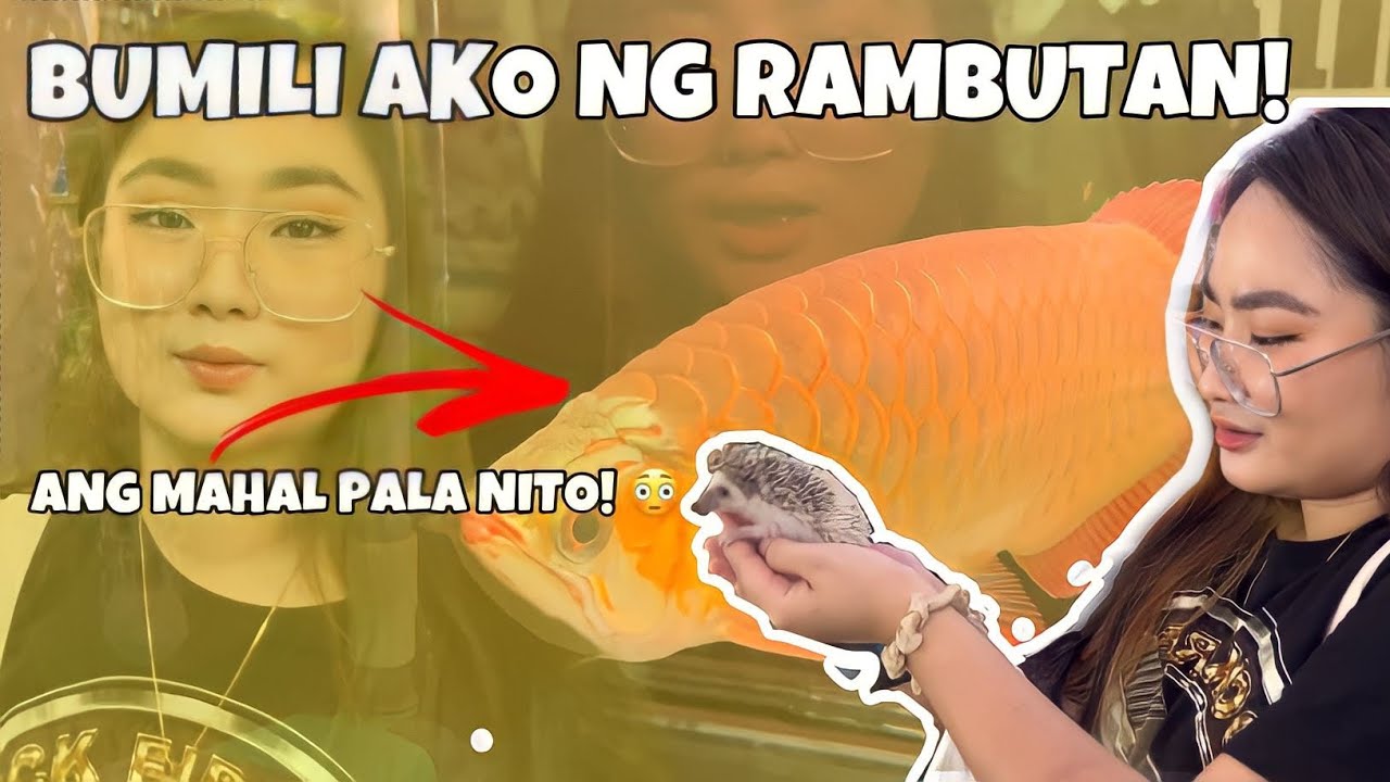 BUMILI AKO NG NEW PET SA CARTIMAR! (Cartimar Update., Safe ba sa Cartimar?)